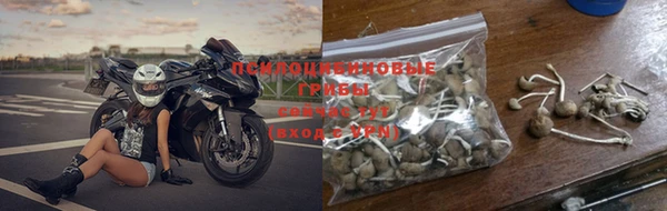 круглые Белокуриха