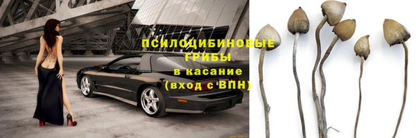 круглые Белокуриха