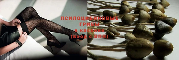 круглые Белокуриха