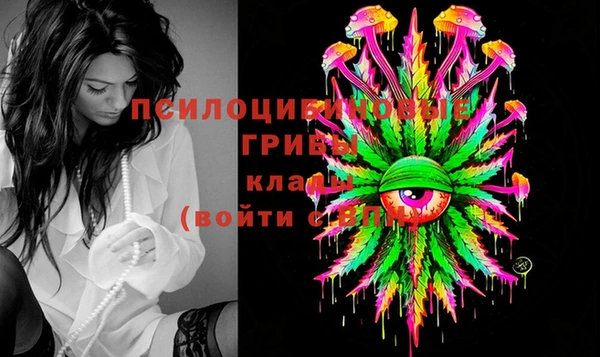круглые Белокуриха